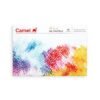 Camel Camlin Kokuyo Artist Oil Pastels 25 Shades (Multicolor)