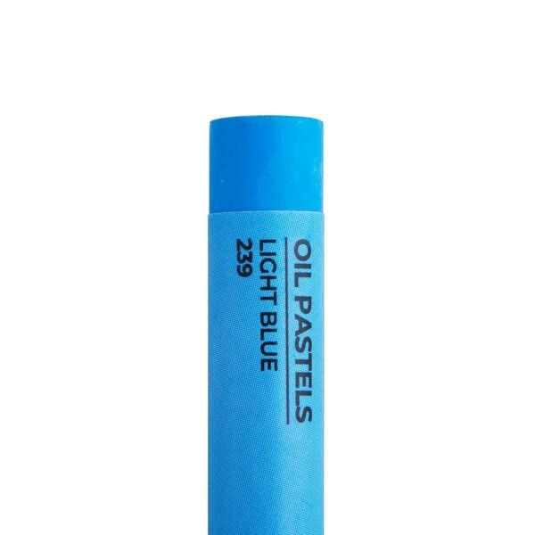 Camel Oil Pastel with Reusable Plastic Box - 25 Shades - Image 6