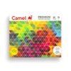 Camel Premium Poster Colour with Brush - 20 Shades (Multicolor)
