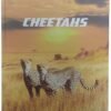Classmate Hard Unruled Long Book - 330x210, 400 Pages