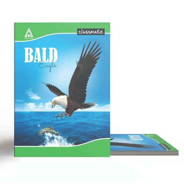 Classmate Long Book - Single Line, 172 Pages, 297 mm x 210 mm - Pack Of 6 - Image 5