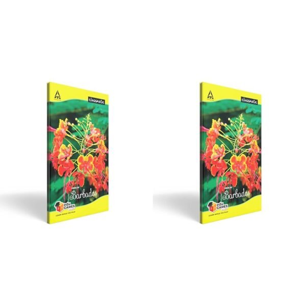 Classmate Long Book - Unruled, 160 Pages, 314 mm x 194 mm - Pack Of 6 - Image 7