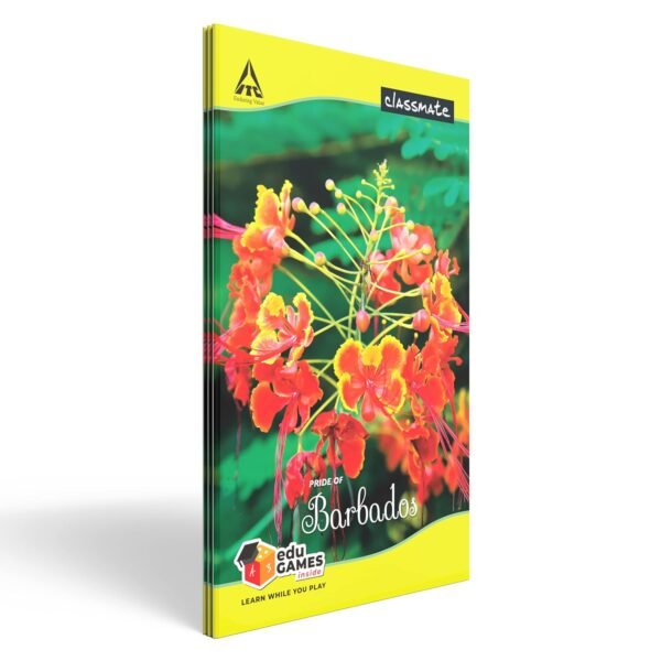Classmate Notebook - Single Line & Classmate Long Book - Unruled, 160 Pages, 314 mm x 194 mm - Pack Of 3 - Image 3