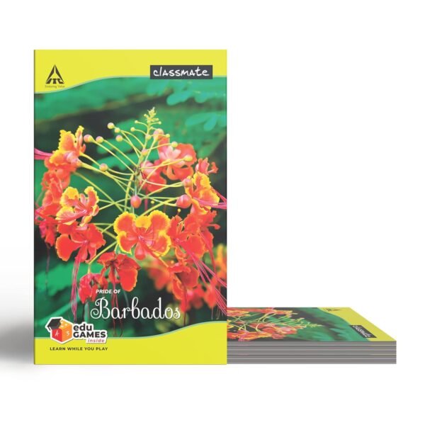 Classmate Notebook - Single Line & Classmate Long Book - Unruled, 160 Pages, 314 mm x 194 mm - Pack Of 3 - Image 5