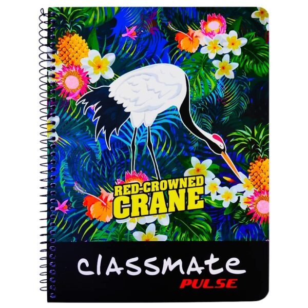 Classmate Pulse Notebok 24 x 18-160 Pages (Pack of 4) - Image 6