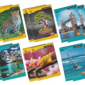 Classmate Single line Softcover 172pages Regular Notebook , 27.2cm x 16.7cm , pack of 6
