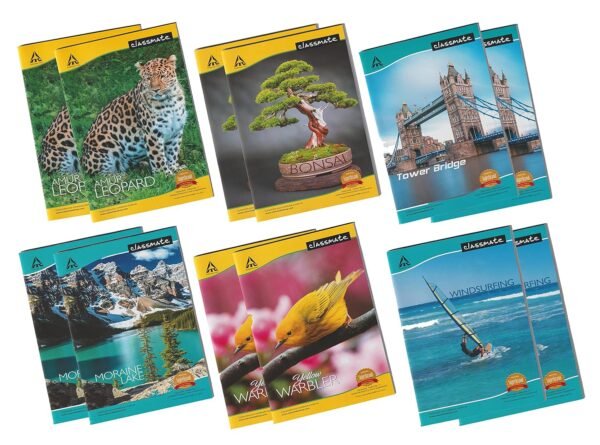 Classmate Single line Softcover 172pages Regular Notebook , 27.2cm x 16.7cm , pack of 6